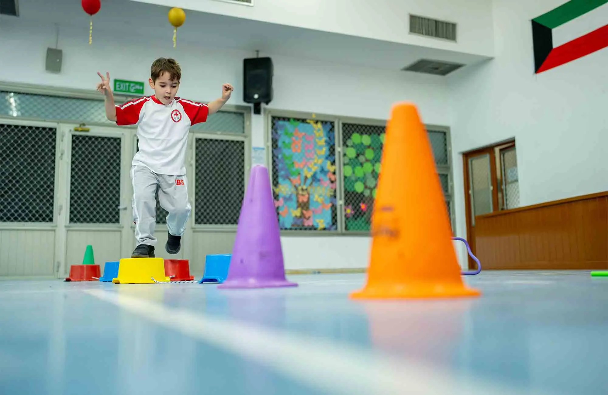 Multi purpose Hall Canadian Bilingual School